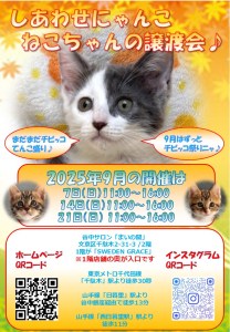 2025年9月の「まいの間」猫ちゃん譲渡会のお知らせ