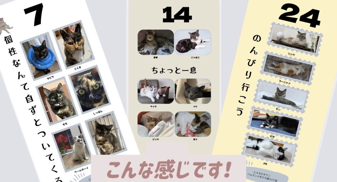 オリジナル日めくりカレンダー予約販売開始日決定!!