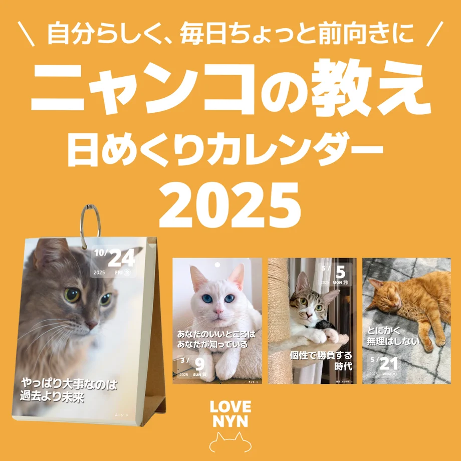 ニャンコの教え 日めくりカレンダー 2025 【1〜2冊】