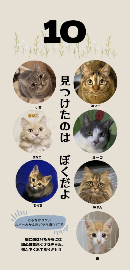 31th 日めくりカレンダー 3冊以上