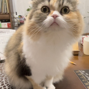 ララ