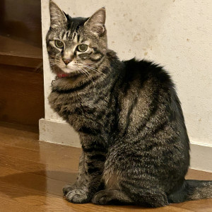 あめ