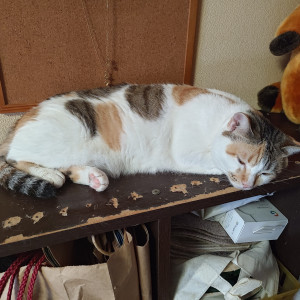 なな