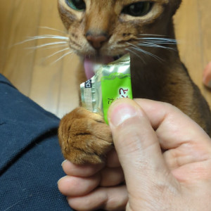 キキ