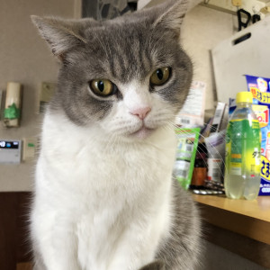 ぼんず
