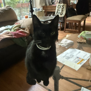 エマ