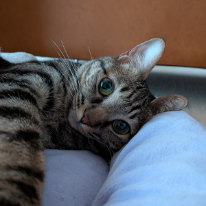 うに
