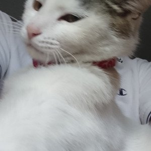 すず