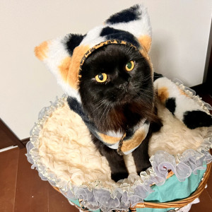 渚空～しょあ～