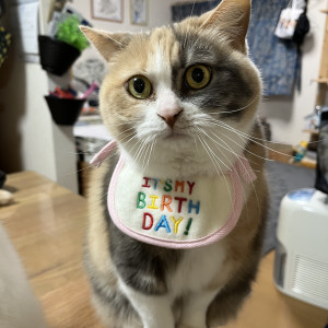 ちくわ